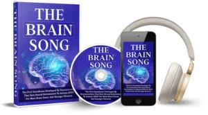 the brain song