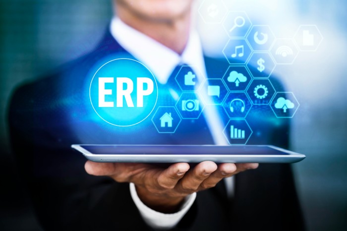 Custom ERP Development Services