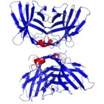3-1-1-CTLA-4-ICM-fo-Drug-Development