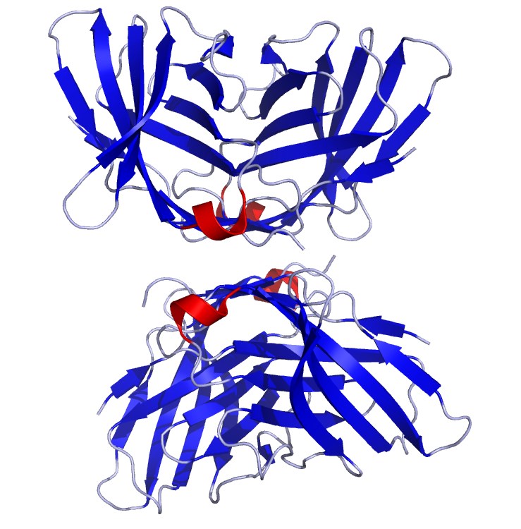3-1-1-CTLA-4-ICM-fo-Drug-Development