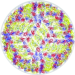 300 300 1-1-1-Single-Cell-Omics-Solutions-for-Primary-Tumor-Cells-4