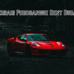 Ferrari Purosangue Rent Dubai