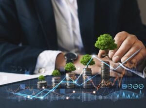 expatriate tax services