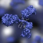 research-grade-biosimilar-antibody