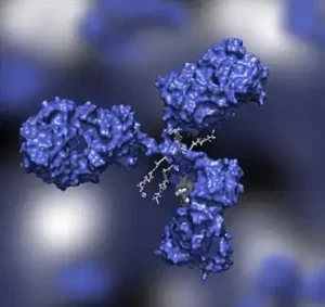 research-grade-biosimilar-antibody
