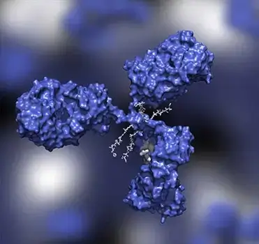 research-grade-biosimilar-antibody