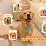 Personalized pet stickers