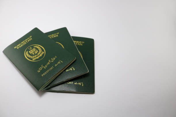 This is how it becomes an absolute game-changer for travellers these days to use a professional Pakistan e-Visa service!