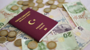 Turkey Visa Services can be considered as a "cheat code" of your travel documents.