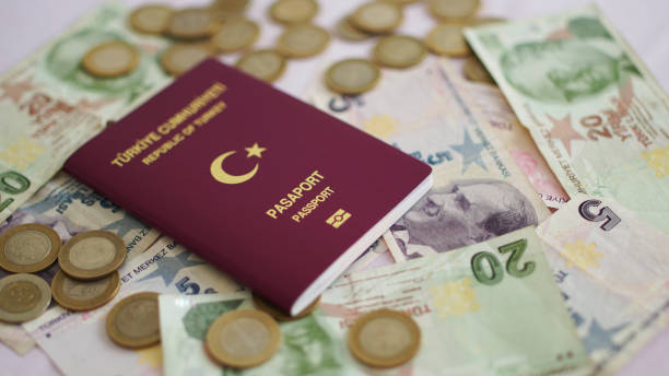 Turkey Visa Services can be considered as a "cheat code" of your travel documents.