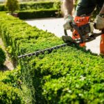 Hedge Trimming