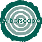 Tree Surgeons in Cockermouth