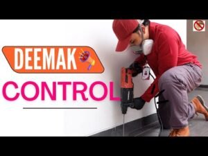 Deemak Control In Lahore