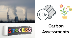 Carbon Assessments for Net Zero Success