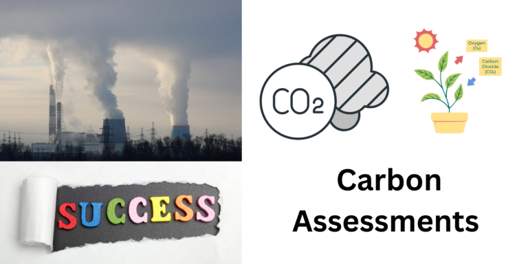 Carbon Assessments for Net Zero Success