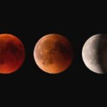 Lunar Cycle Moon Phases
