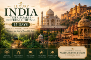 Luxury India Tiger Safari & Cultural Heritage