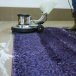 Professional carpet cleaning