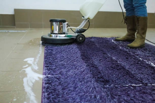 Professional carpet cleaning