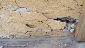 Stucco Is Damaged