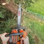 Tree Trimming