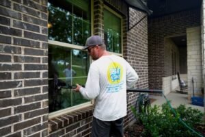 Window Cleaning Services 