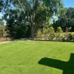 landscape design company in southlake tx