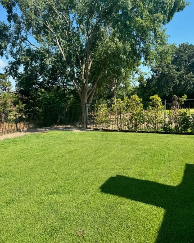 landscape design company in southlake tx