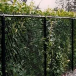 Fence Removal Service In Asheville