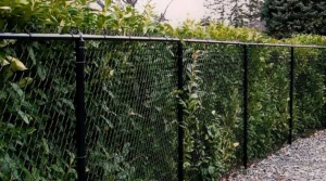 Fence Removal Service In Asheville