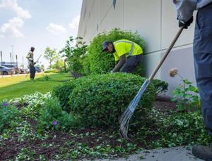 Landscape-Maintenance-in-Cooperstown-NY-5 (1)-converted-from-webp