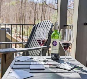 Mountain-Vacation-Rentals-in-Blairsville-Georgia