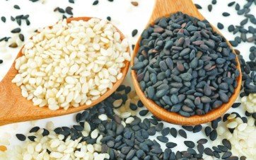 Sesame seeds manufacturers meeting global buyer needs in 2026