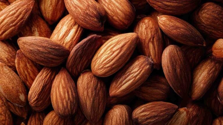 Premium almonds in bulk showcasing quality selection for reliable almond suppliers in India