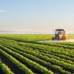 The heart of Britain’s countryside: agriculture.