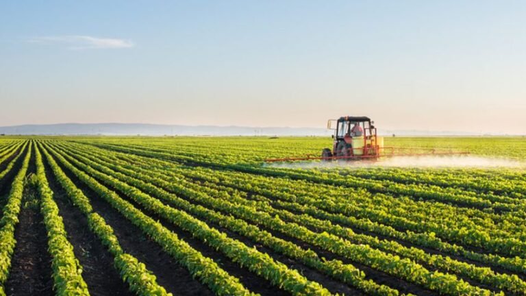 The heart of Britain’s countryside: agriculture.