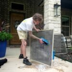 soft washing services