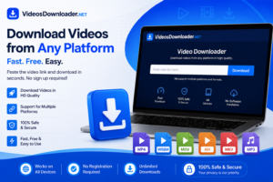 Online Video Downloader