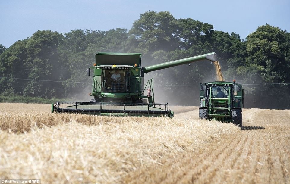 Reliable Farm Fuel Delivery for Every Growing Season