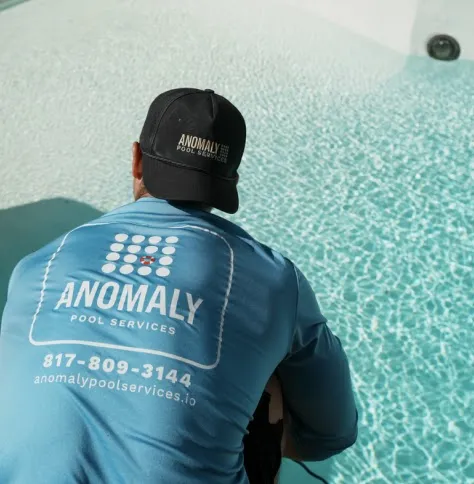 pool filter cleaning service