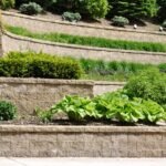  landscape design and build services