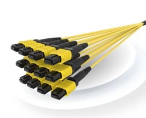 FSG Networks