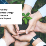 How Sustainability Consultants Help Energy Companies Reduce Environmental Impact