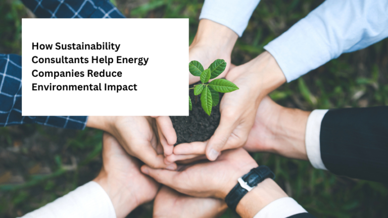 How Sustainability Consultants Help Energy Companies Reduce Environmental Impact