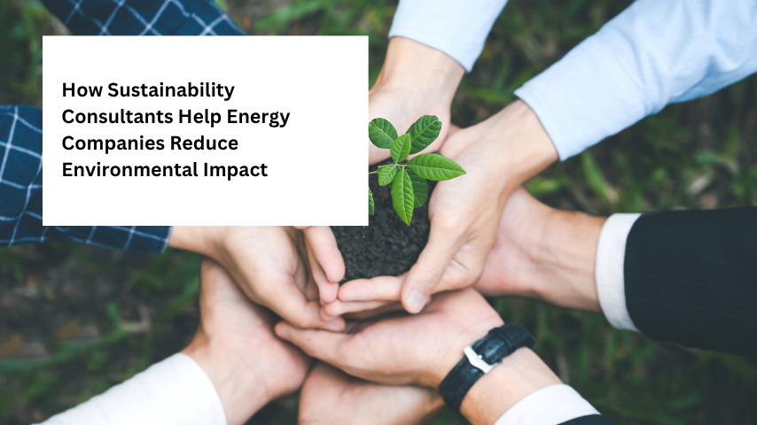 How Sustainability Consultants Help Energy Companies Reduce Environmental Impact
