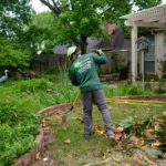 Tree Removal Services Colleyville TX