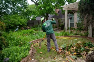 Tree Removal Services Colleyville TX