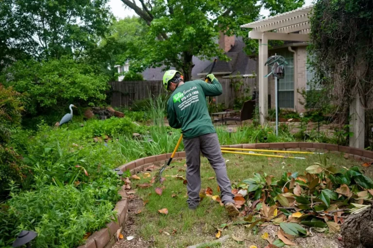 Tree Removal Services Colleyville TX