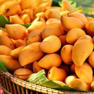 Best Pakistani Mangoes Online