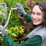 Tree Removal Services